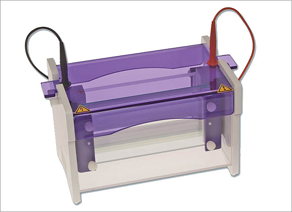 Vertical Electrophoresis